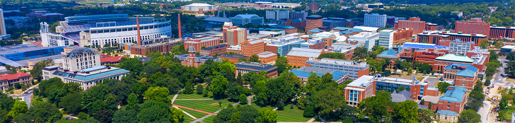 Birds eye view of campus