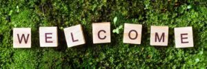 Blocks spelling welcome on grass